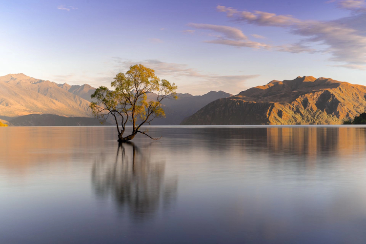 Cover media image