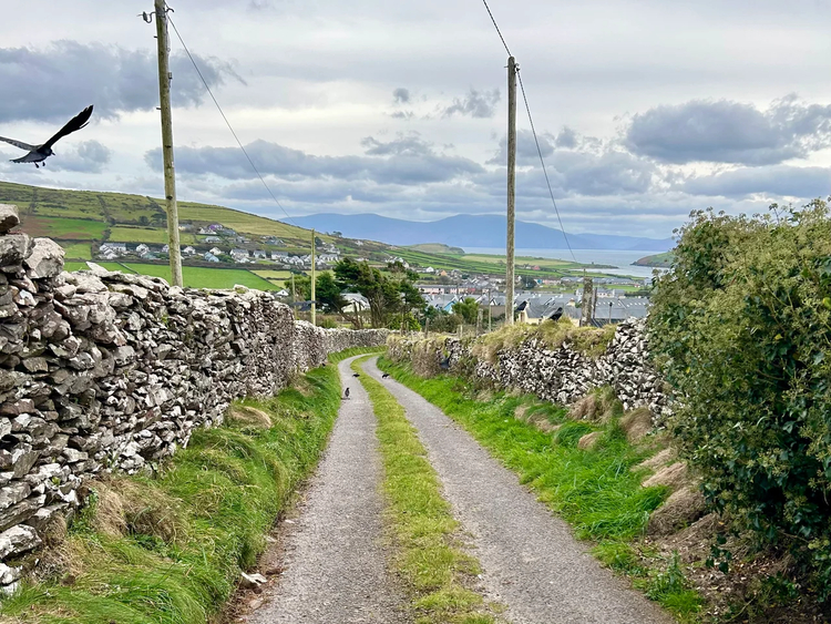 Cover media image