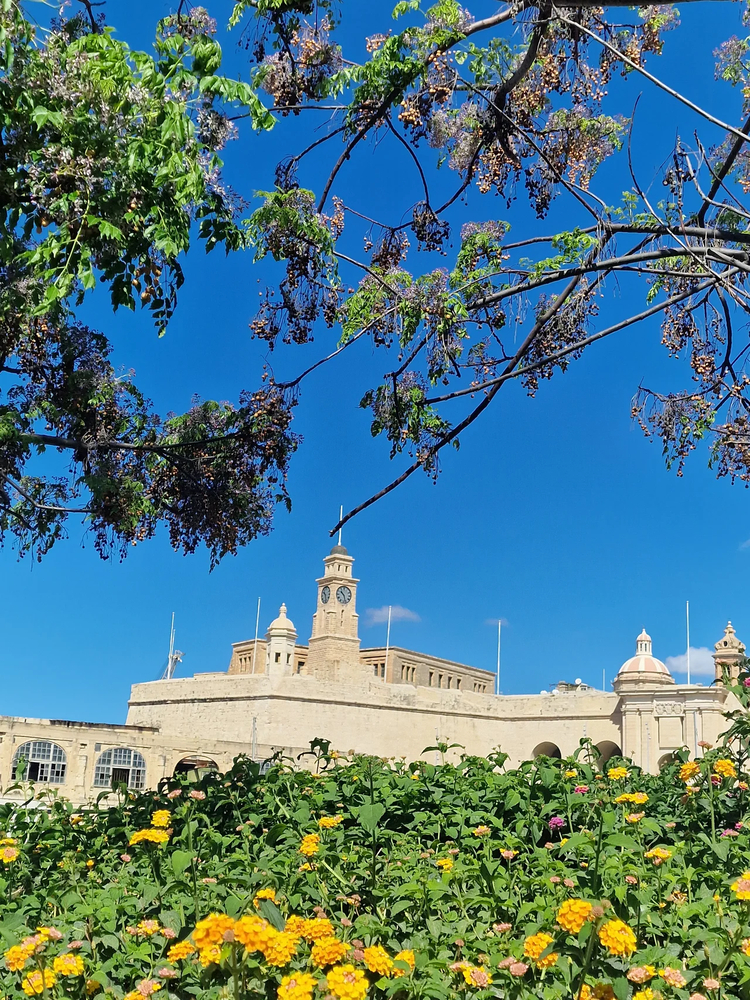 Cover media image