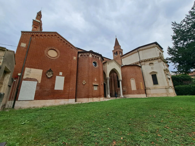 Cover media image