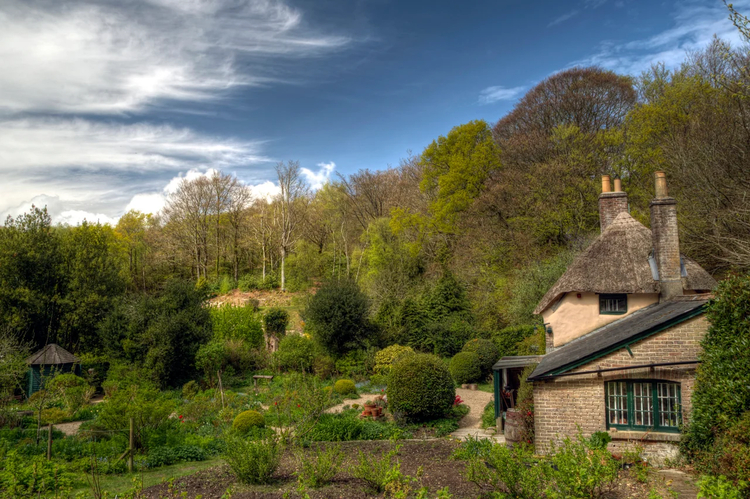 Cover media image