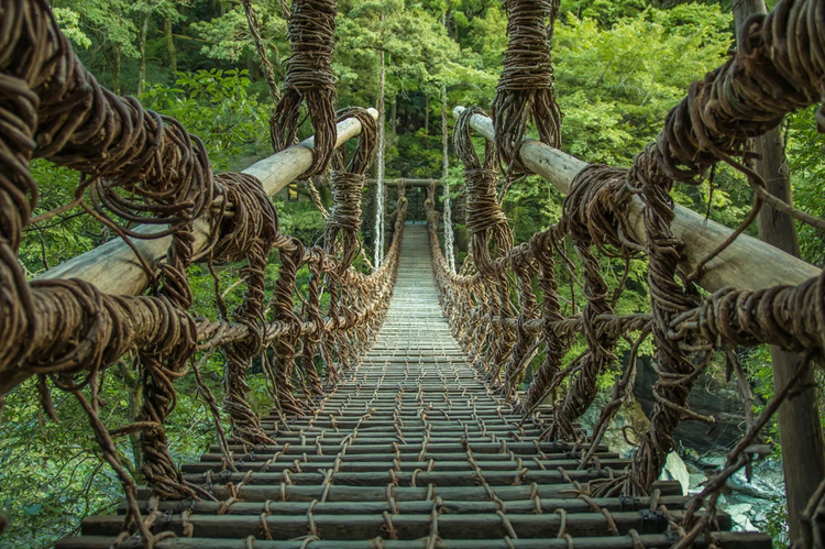 Cover media image