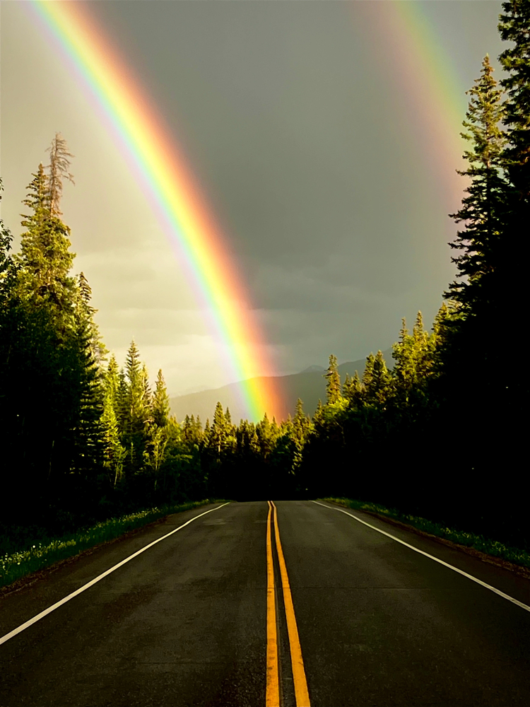 Cover media image