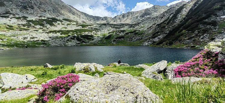 Cover media image