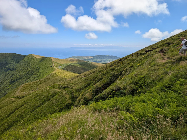 Cover media image