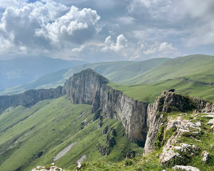 Cover media image