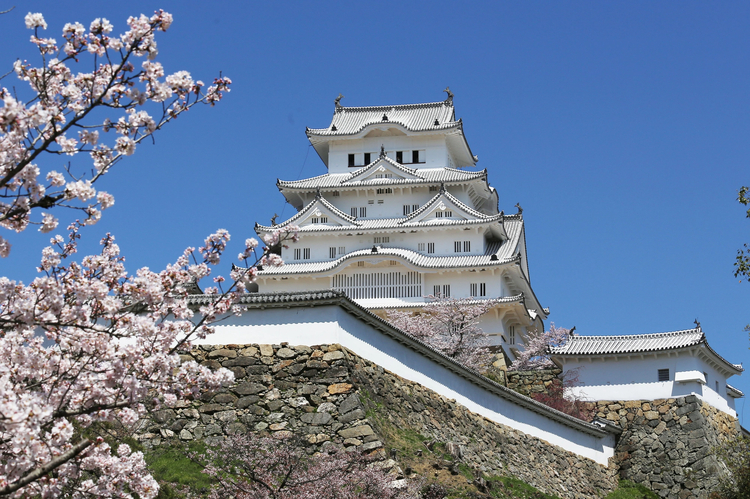 Cover media image