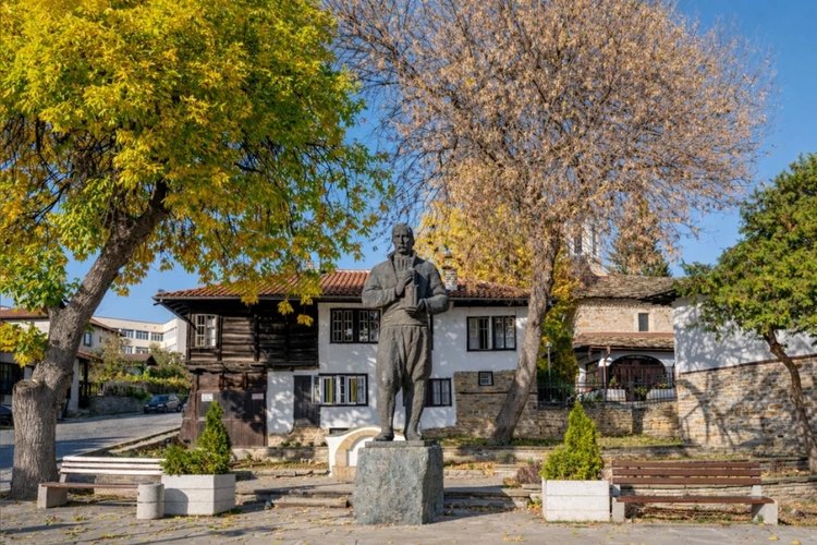 Cover media image