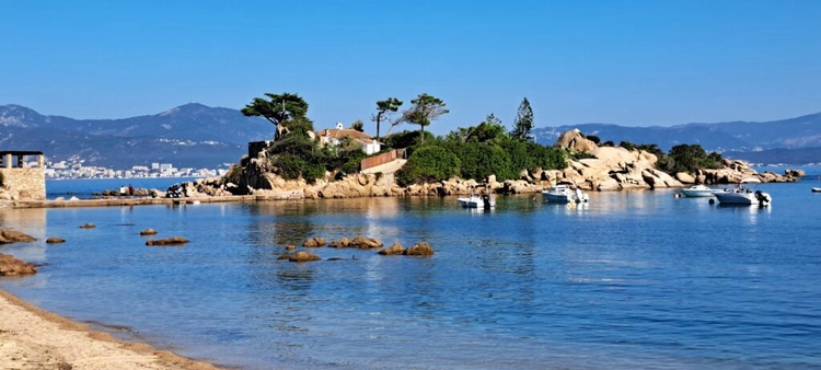 Cover media image