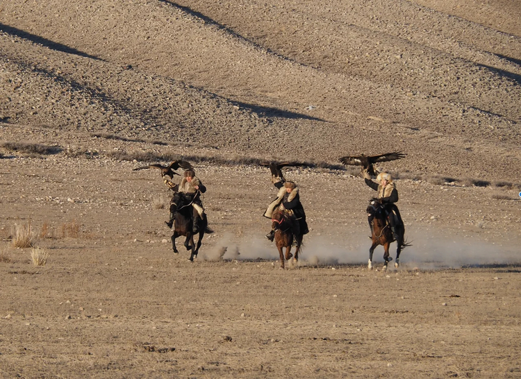 Cover media image