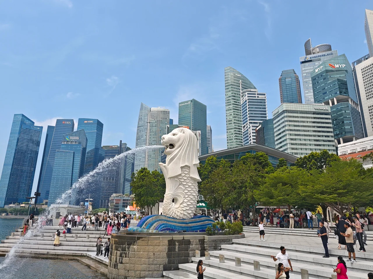 Cover media image