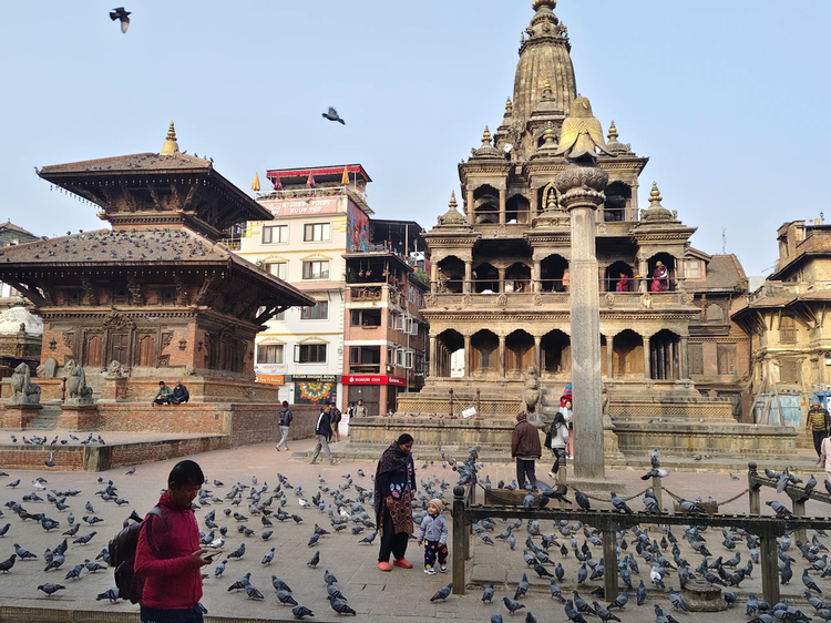 Cover media image