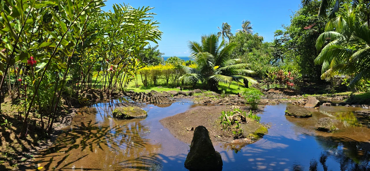 Cover media image