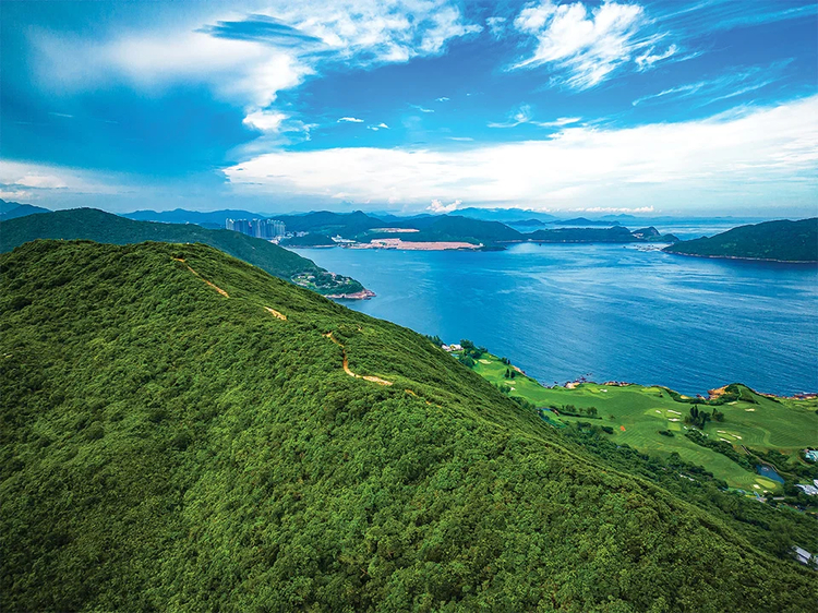 Cover media image