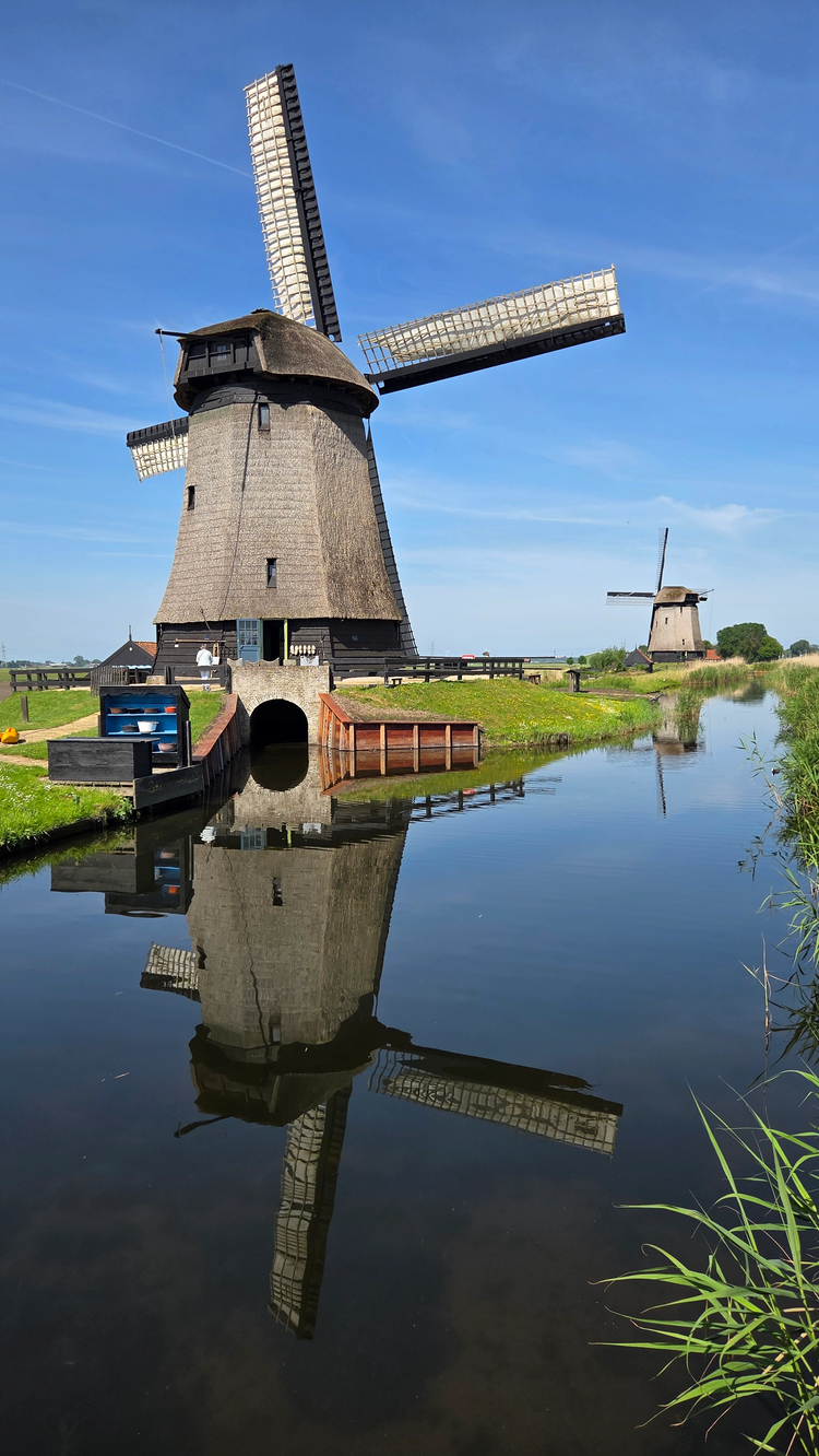 Cover media image