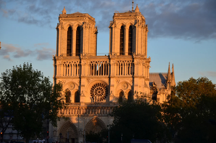 Cover media image