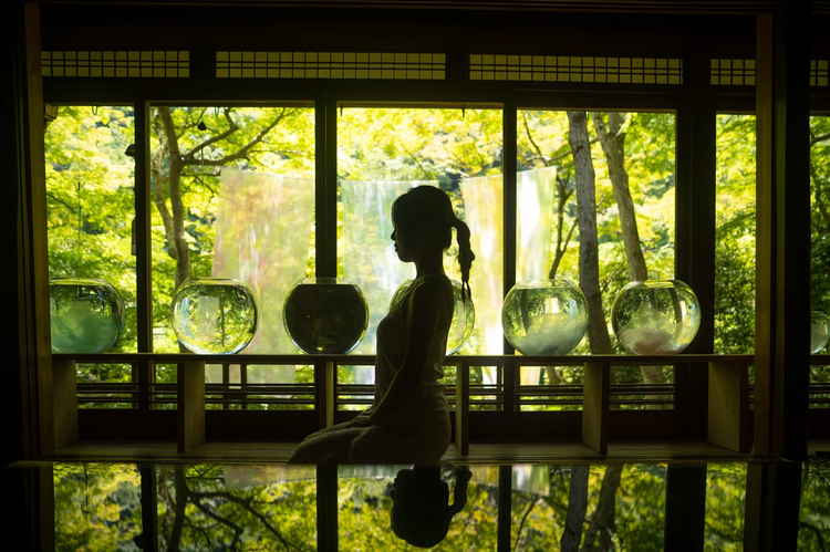 Cover media image