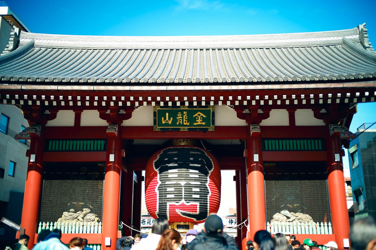 Iconic Tokyo: Half-Day Private Driving Tour with Panoramic Stops