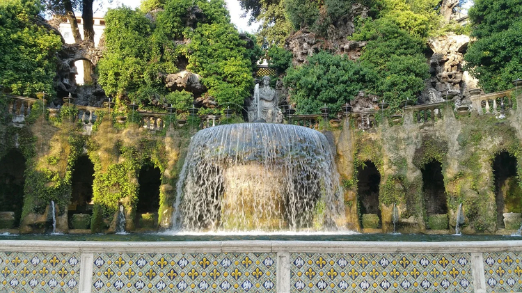 Cover media image