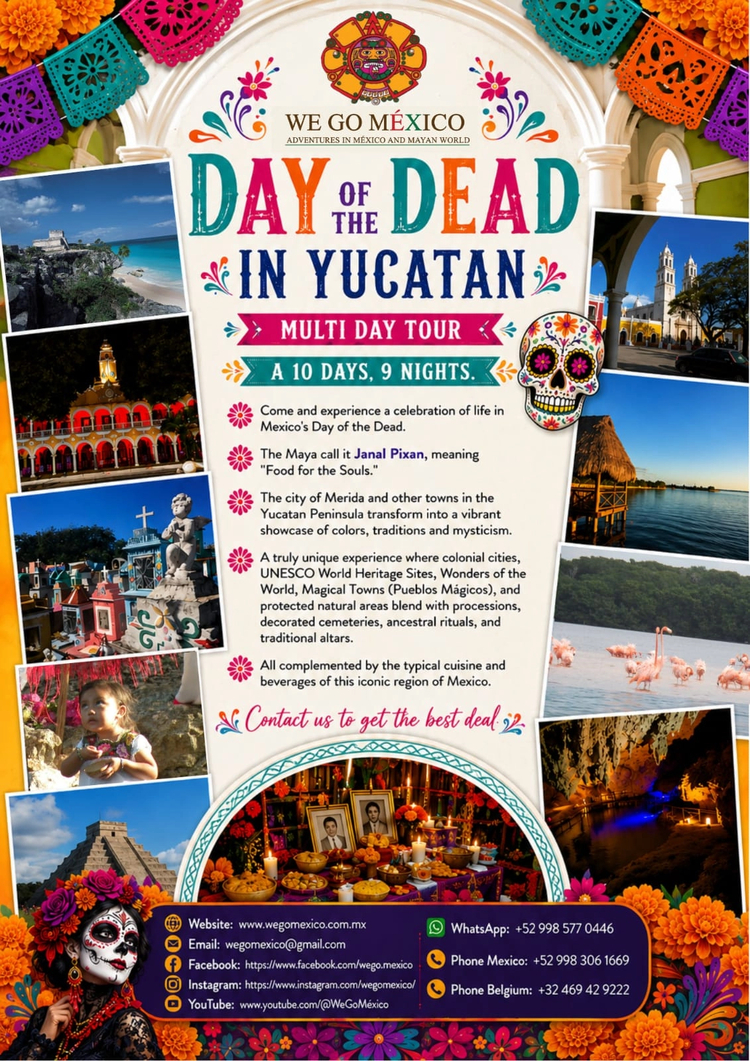 Cover media image