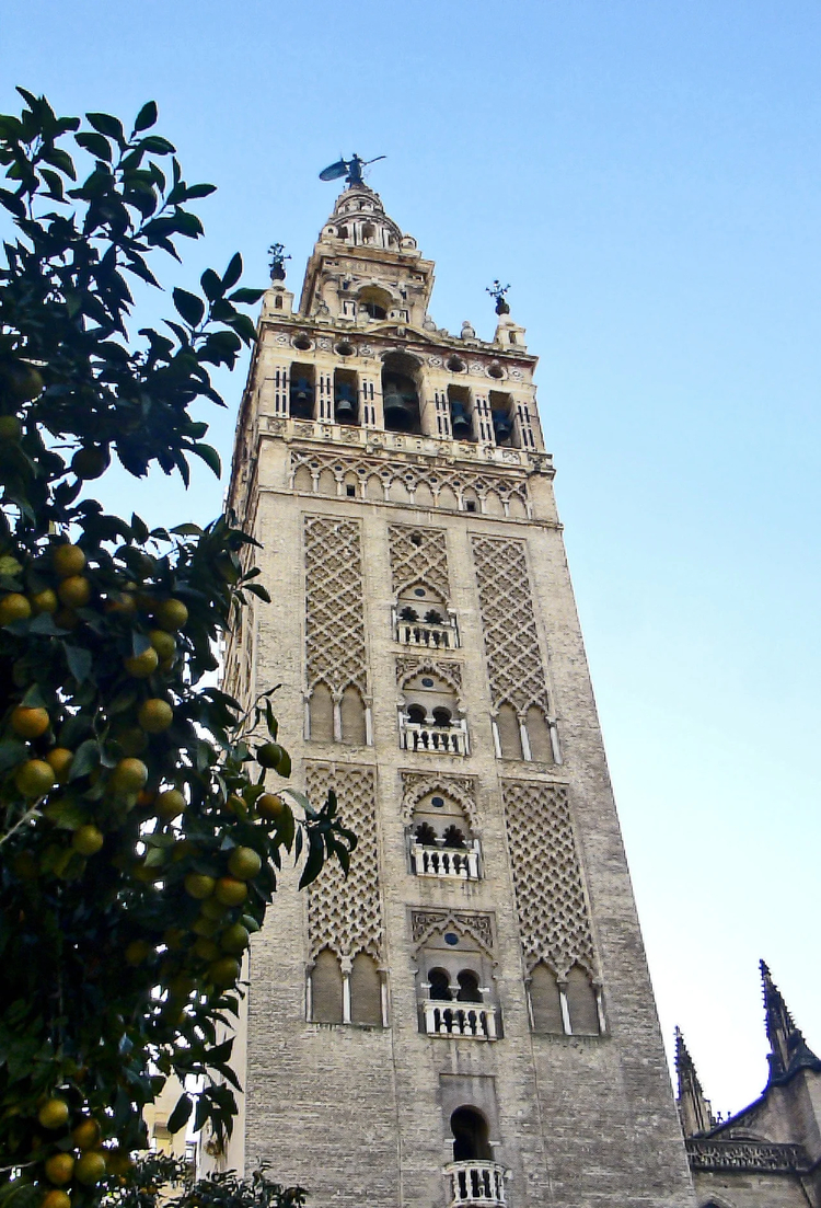 Cover media image