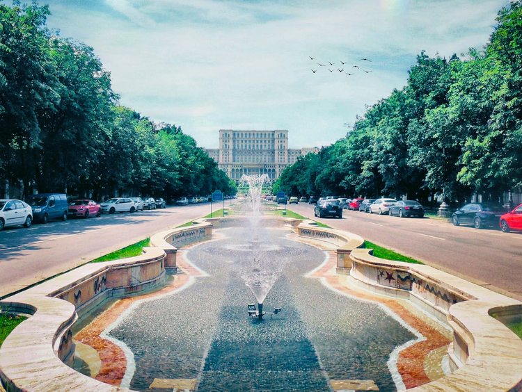 Cover media image