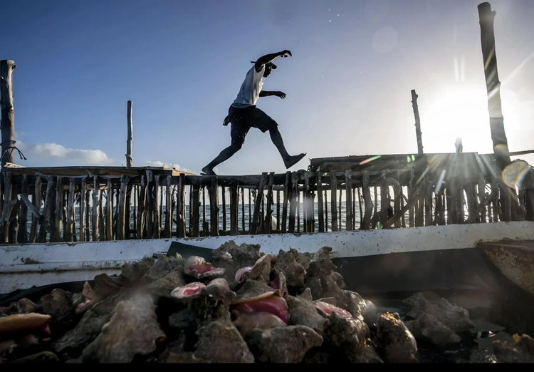 Cover media image