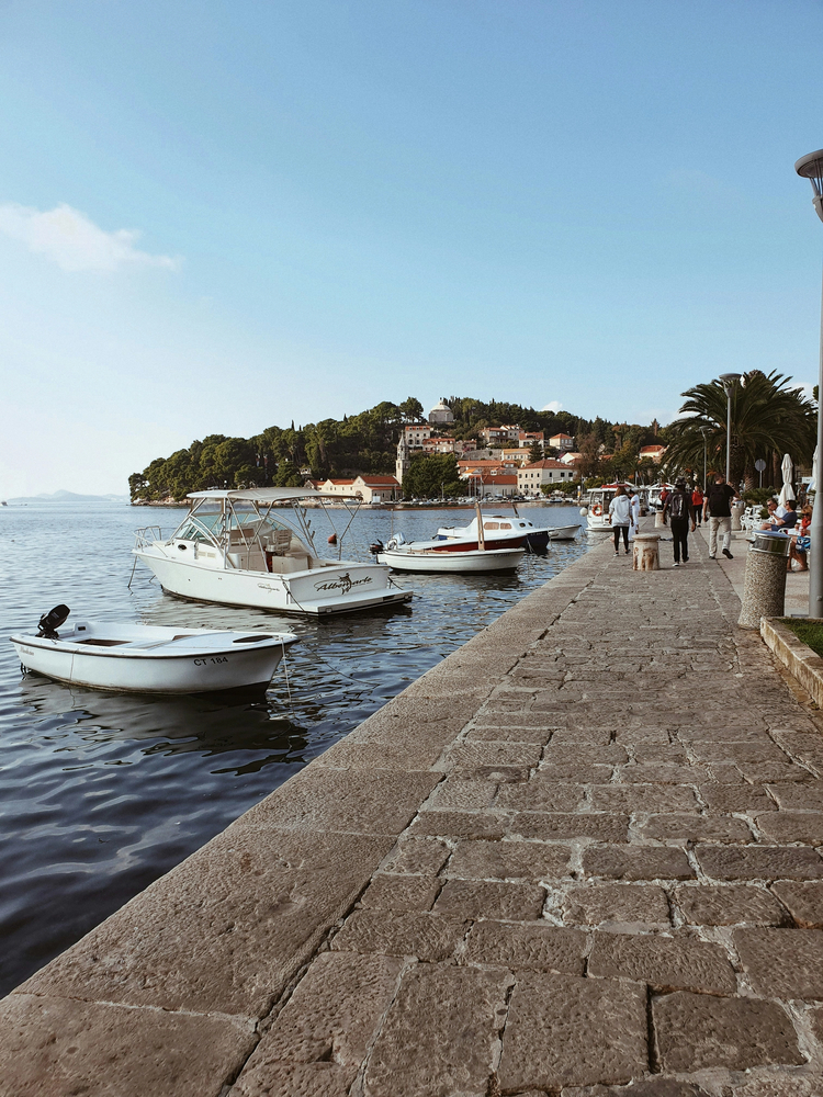 Cover media image