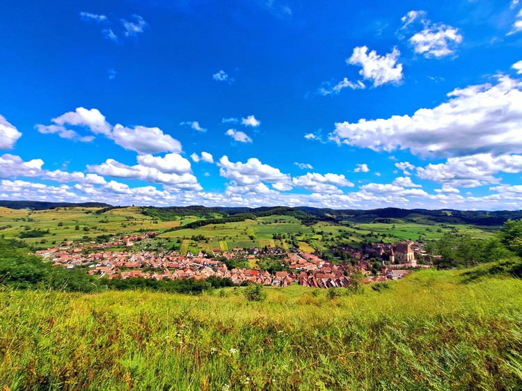 Cover media image