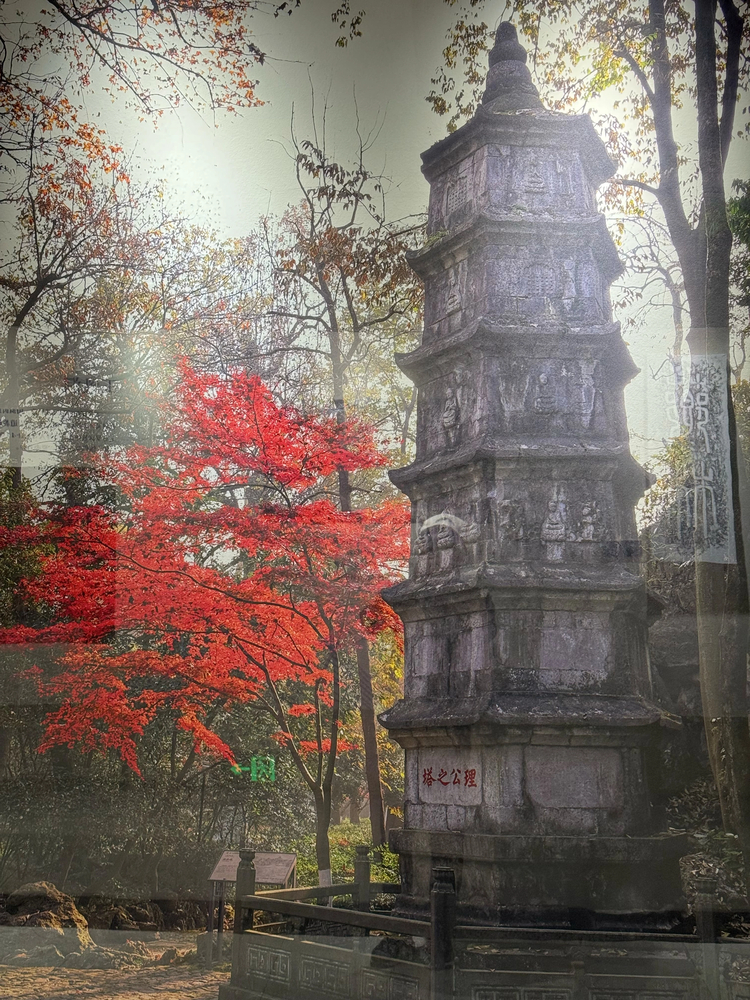 Cover media image