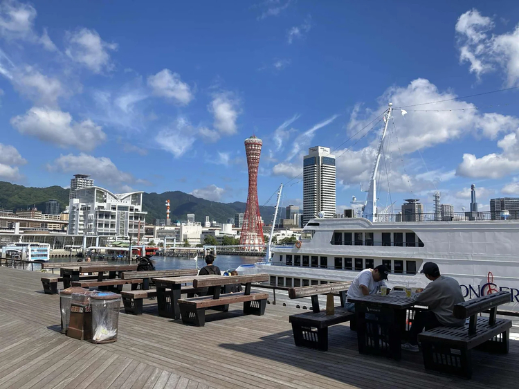Cover media image