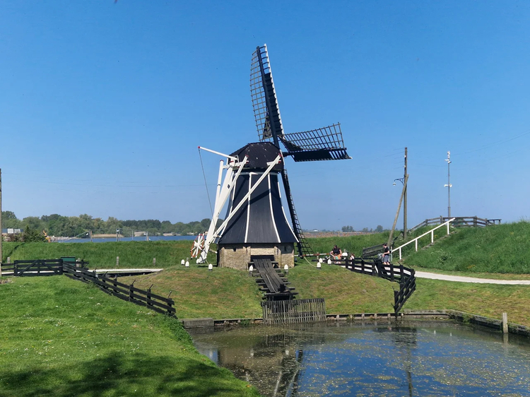 Cover media image