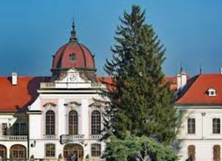 Cover media image