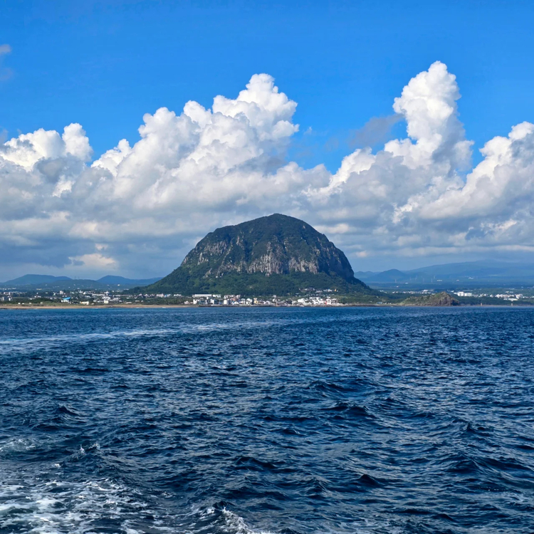 Cover media image