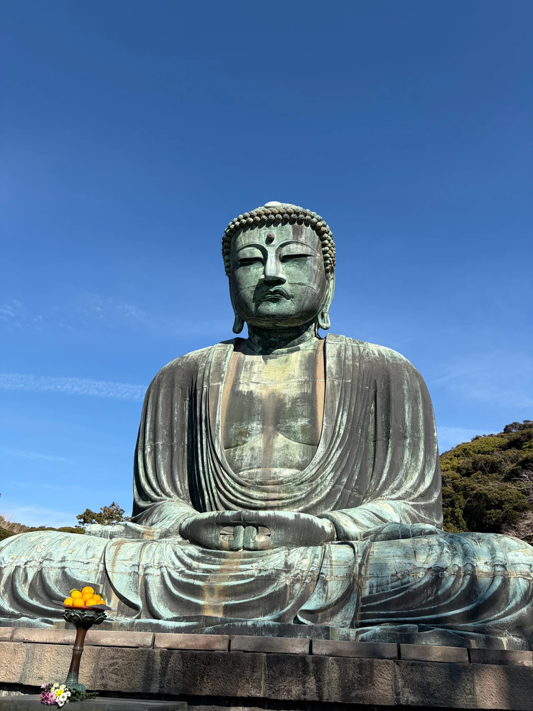 Cover media image