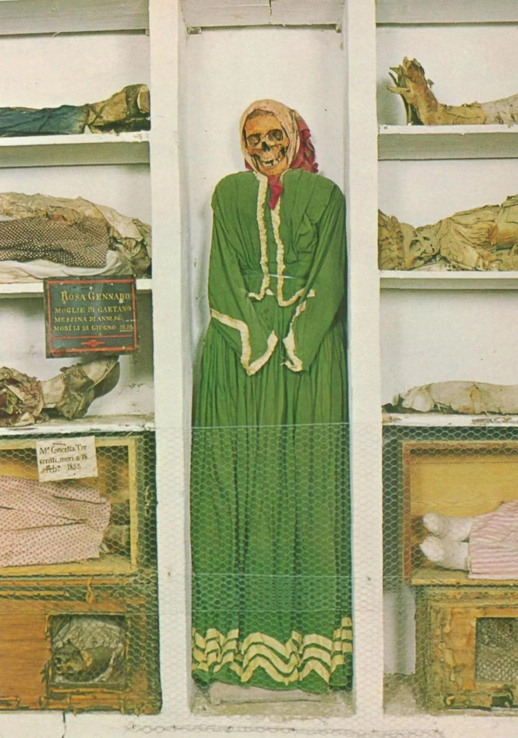 Cover media image