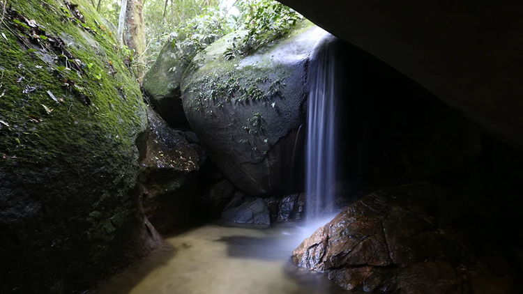 Cover media image