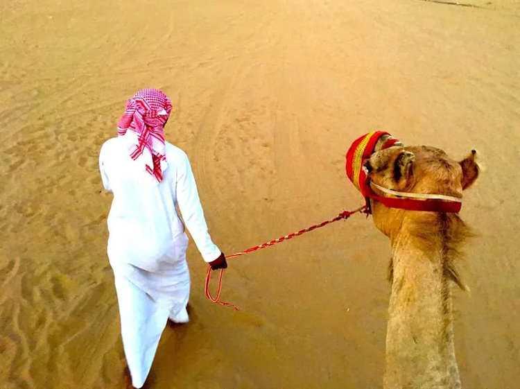 Cover media image