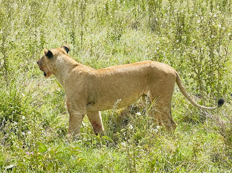 Cover media image