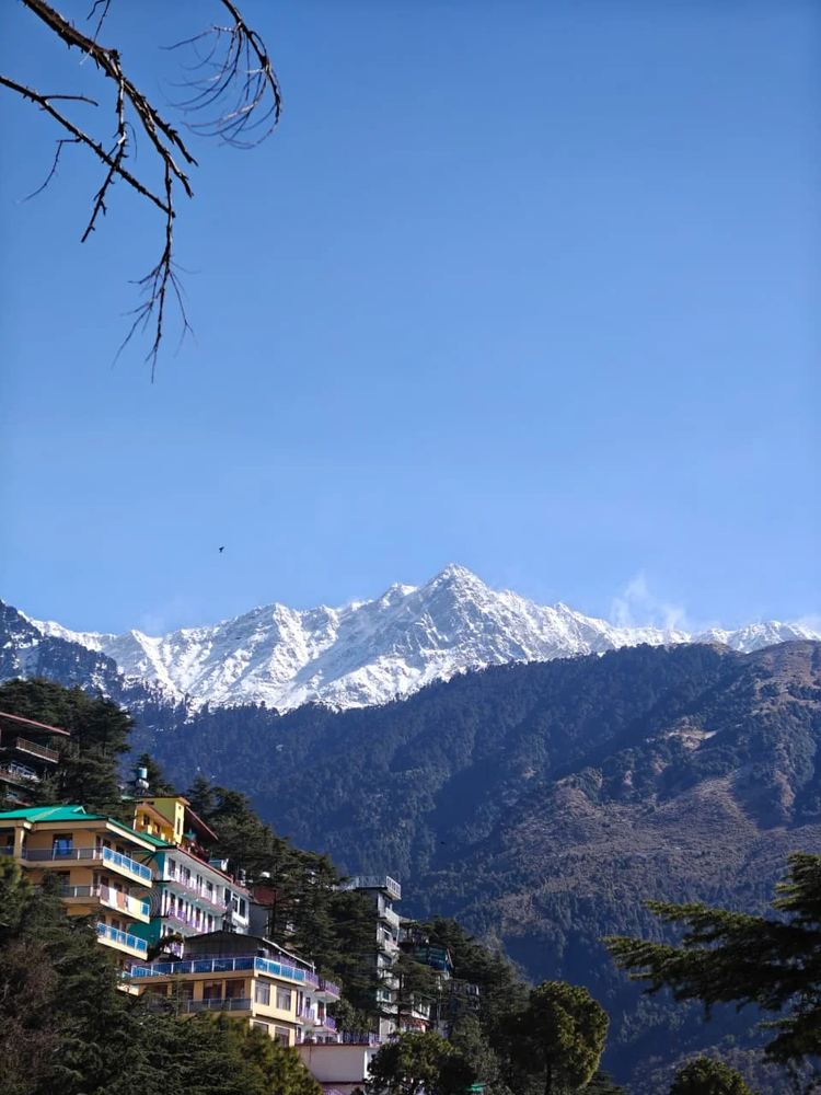 Cover media image