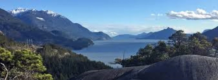 Cover media image
