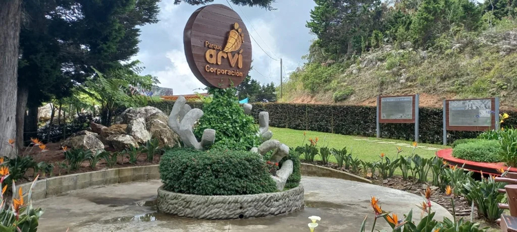 Cover media image
