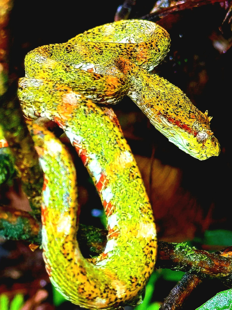 Cover media image