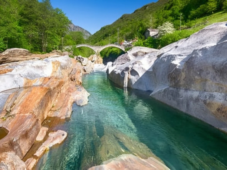 Cover media image