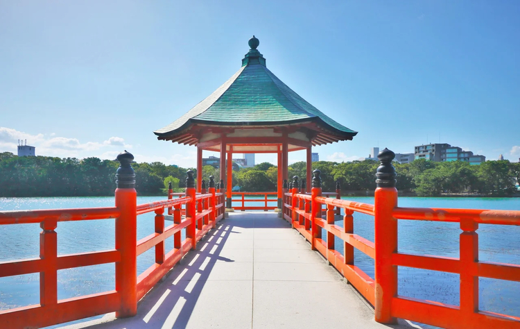 Cover media image