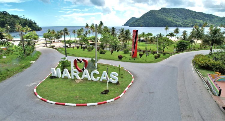 Cover media image