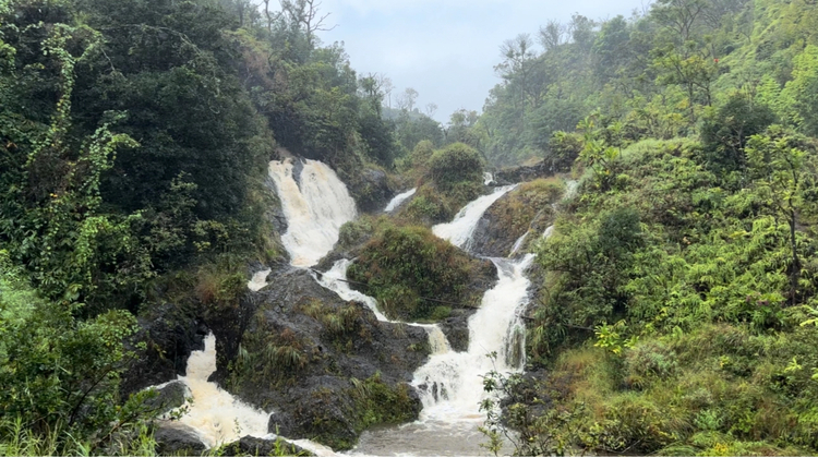 Cover media image