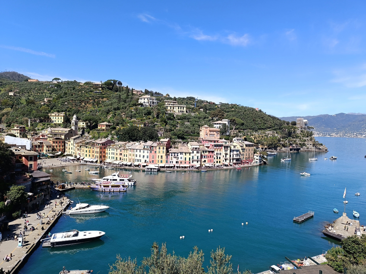 Cover media image