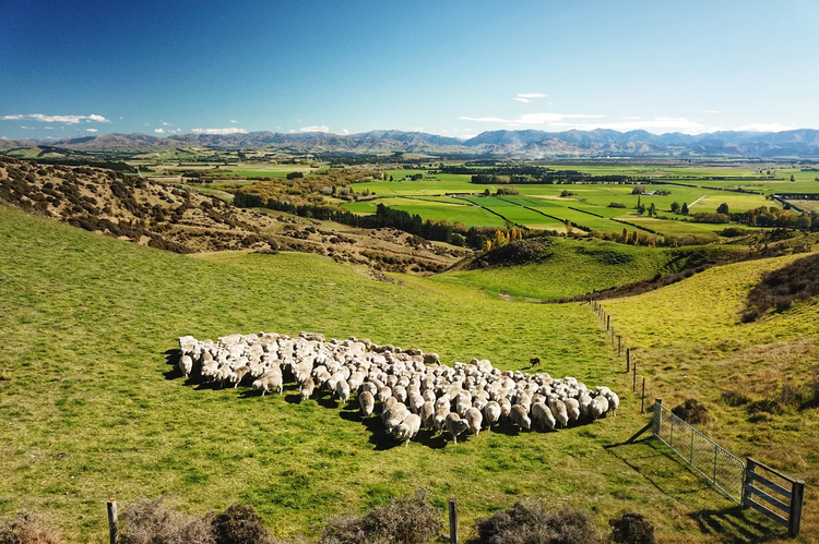 Cover media image