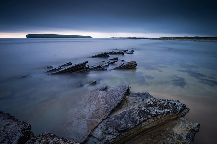 Cover media image